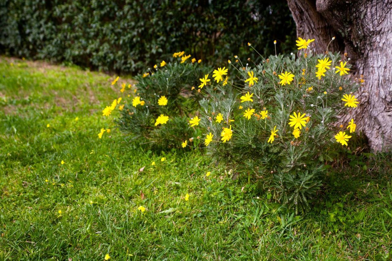 Holiday home La Casa Di Caterina: Nature,relax And Private Garden Lefkada City
