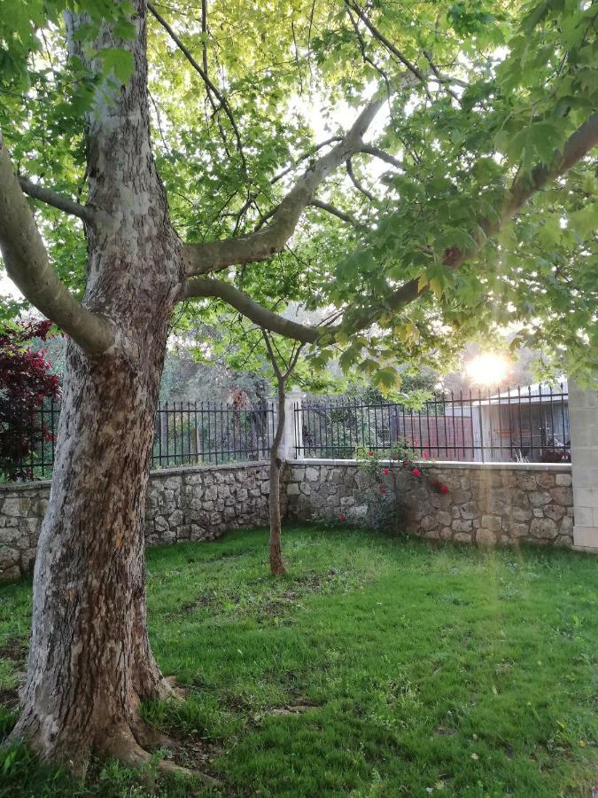La Casa Di Caterina: Nature,relax And Private Garden Holiday home Lefkada City