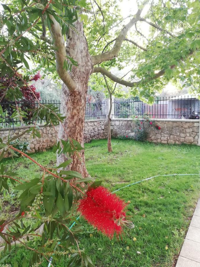 La Casa Di Caterina: Nature,relax And Private Garden Holiday home