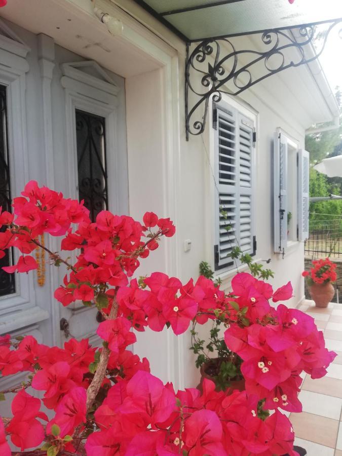 La Casa Di Caterina: Nature,relax And Private Garden Lefkada City