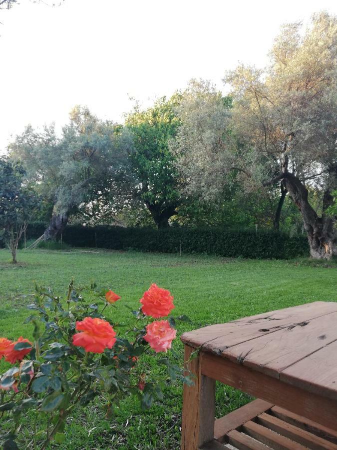 La Casa Di Caterina: Nature,relax And Private Garden Holiday home Lefkada City
